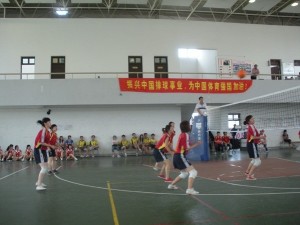 nzpq2 nzpq2